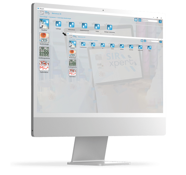 Module SIRxpert d'Interfaçage